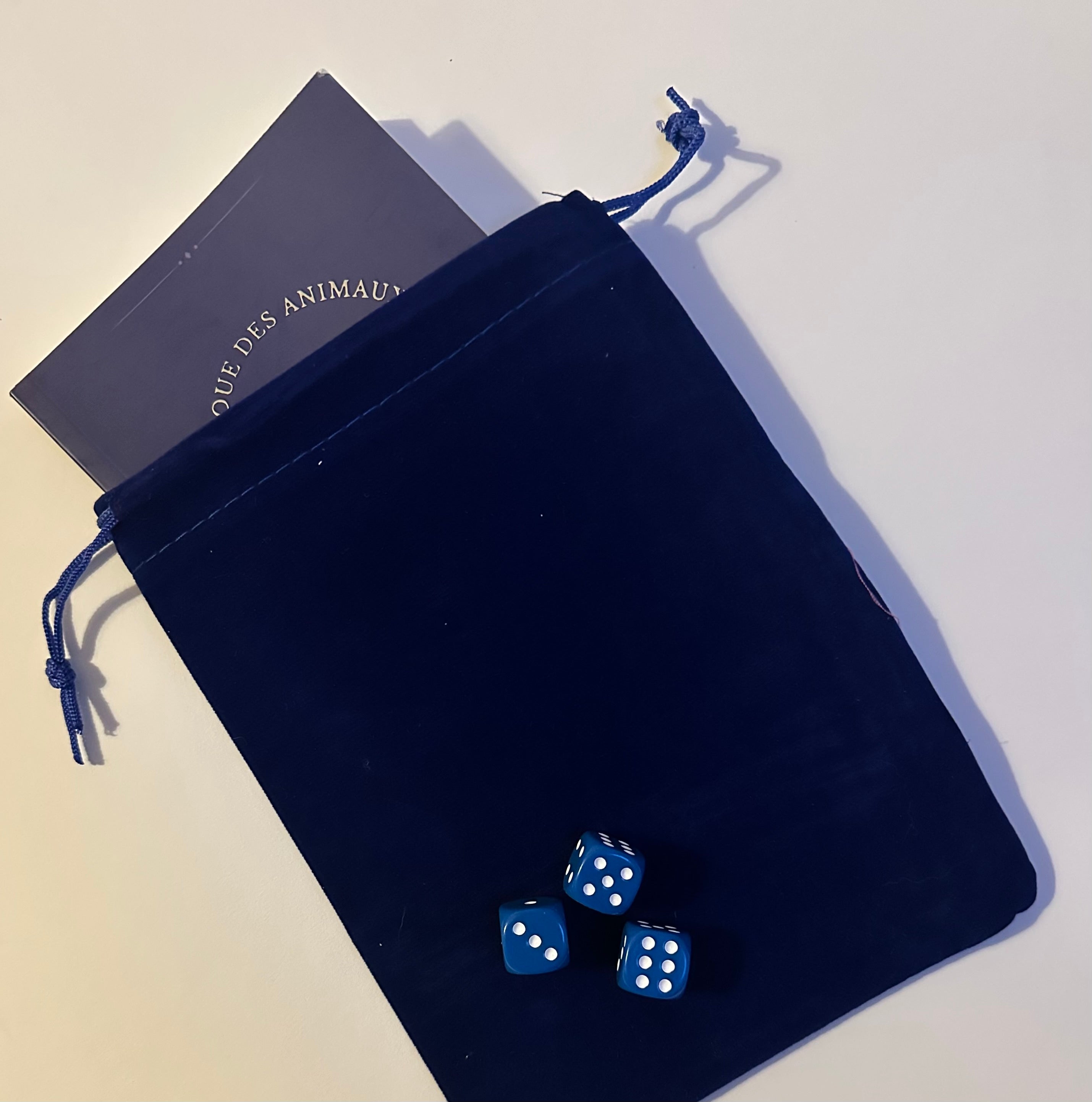 2 - LIVRET DE JEU avec DÉS et POCHETTE